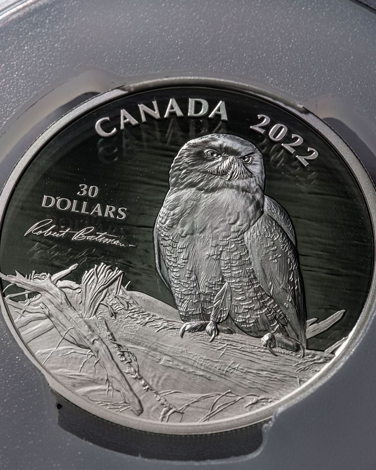 2022 $30 Silver Snowy Owl | First Day Of Issue PR70 PCGS | Susanna Blunt Autographed