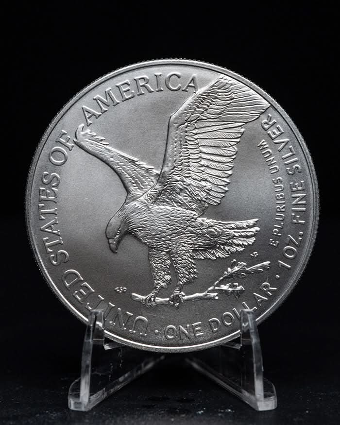 Silver Eagle BU back