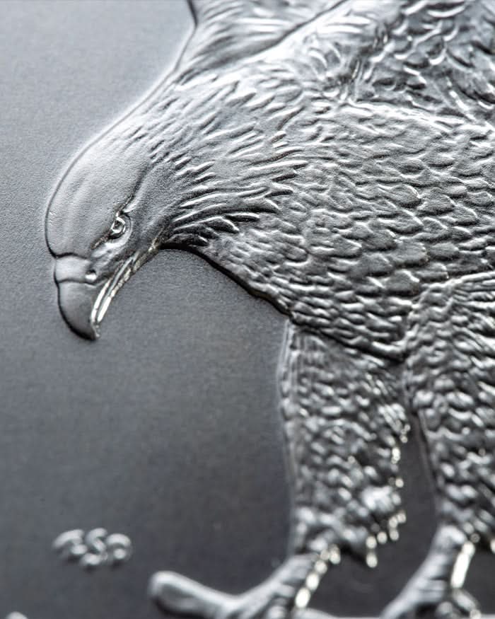 Silver Eagle BU