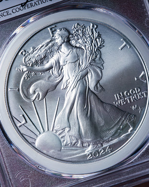 2024 P 1 oz Silver Eagle | Star Privy Mint Designer Series MS70 | Emily Damstra Autographed