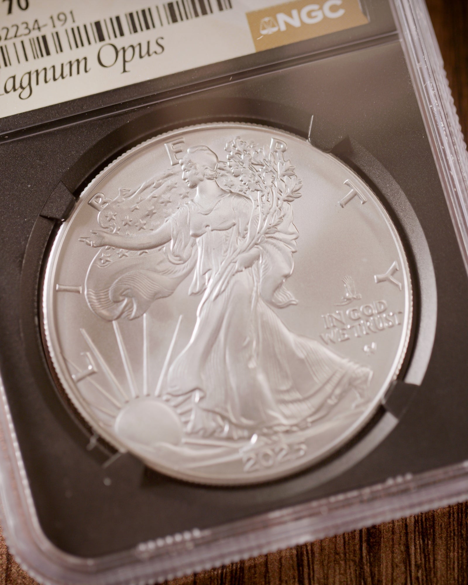 2025 (P) Silver Eagle with Eagle Privy Mark | First Releases MS70 CAC "Magnum Opus" Label