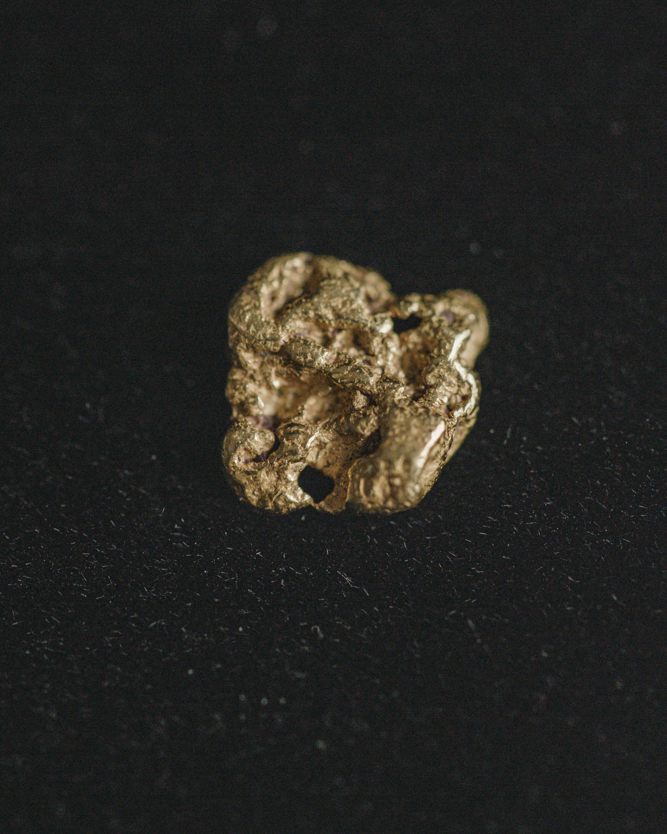 Chasing Mammoths/Schindler Handcrafted Raw Gold Nugget Earrings