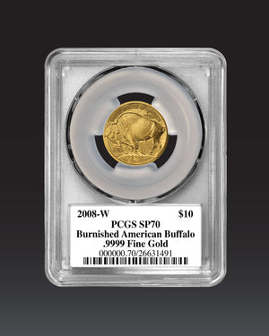 2008 $10 Burnished Buffalo | PCGS "Modern Numismatic Masterpieces" MS70 | Stephanie Sabin Autographed