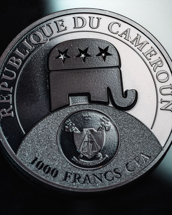 2024 Cameroon S1000F Donald Trump