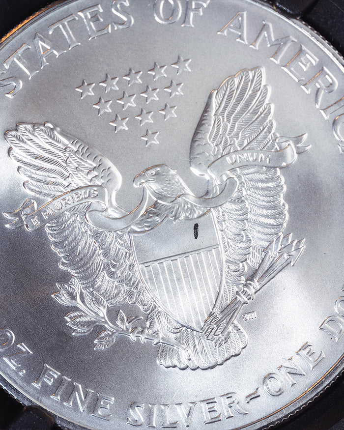 2000 $1 Silver Eagle Millennium Set | Mint Error MS69 Reverse Struck Thru "Global Coin Series" | Anna Cabral Autographed