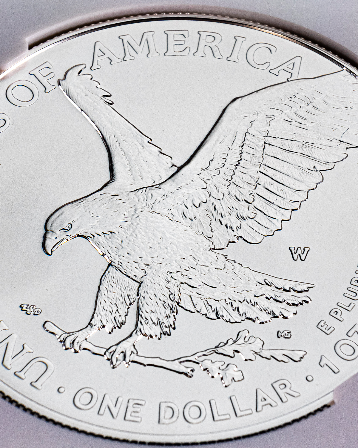 2023 Burnished Silver Eagle | Advanced Release SP70 PCGS | Stephanie Sabin Autographed