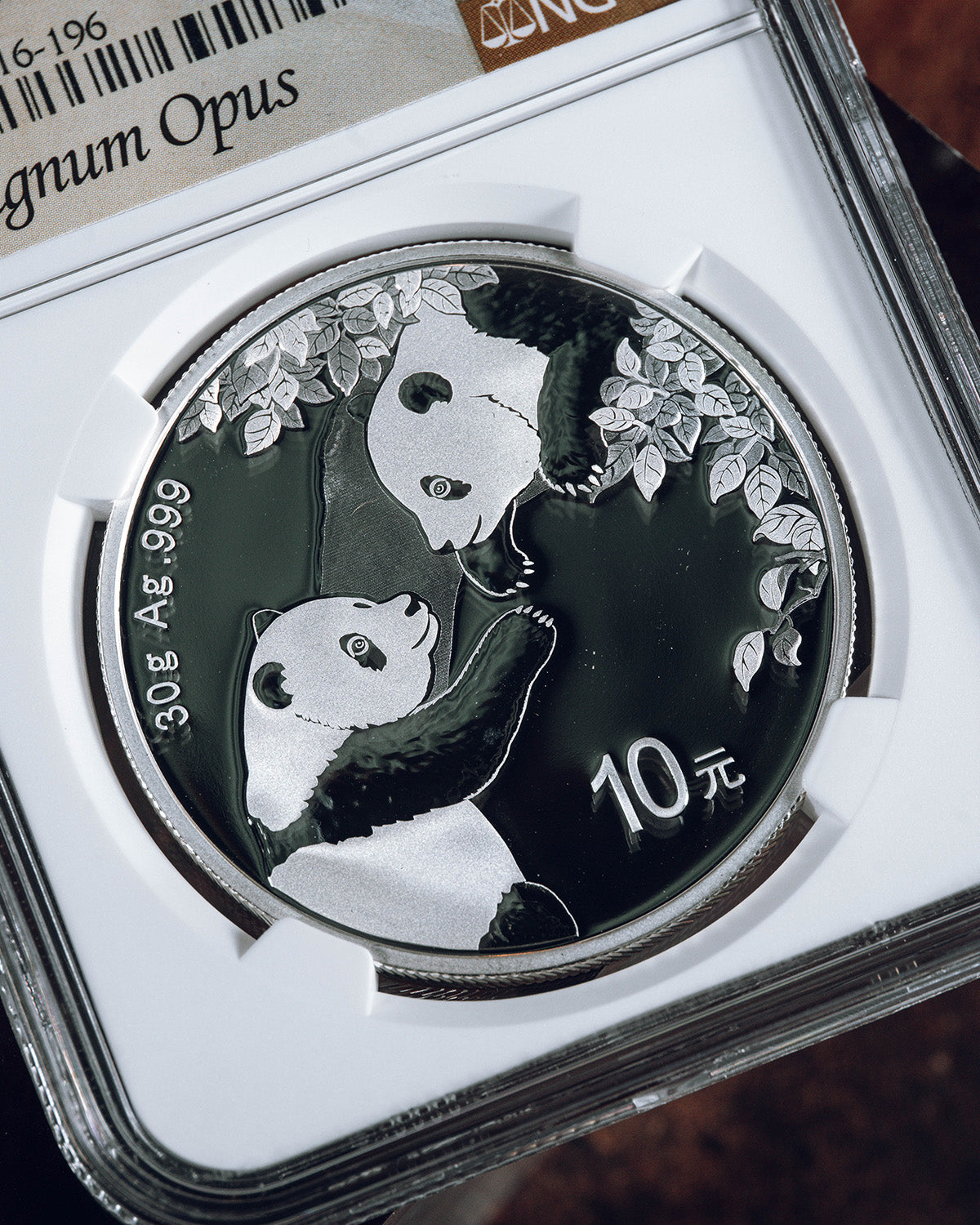 2023 China S 10Y Silver Panda | 40th Anniversary MS70 Magnum Opus