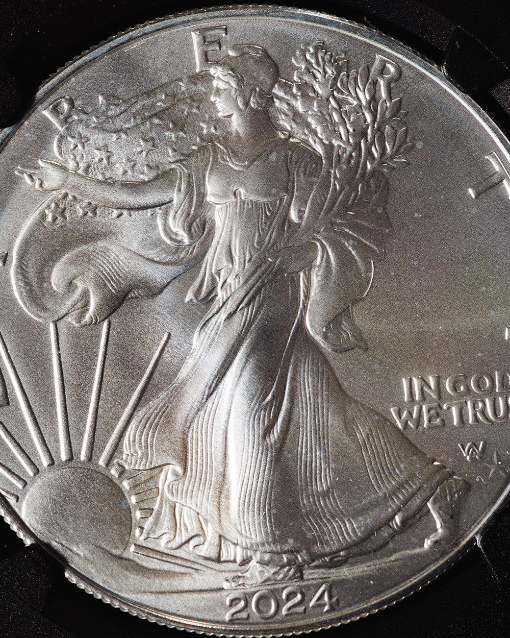 2024 P 1 oz Silver Eagle | Star Privy FR MS70 "Magnum Opus"