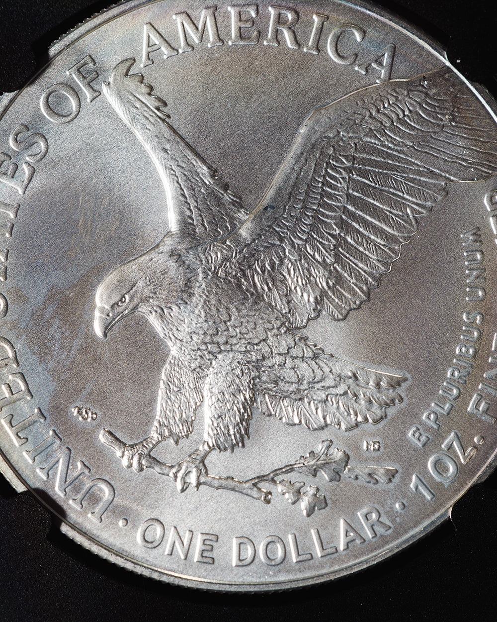 2024 P 1 oz Silver Eagle | Star Privy FR MS70 "Magnum Opus"