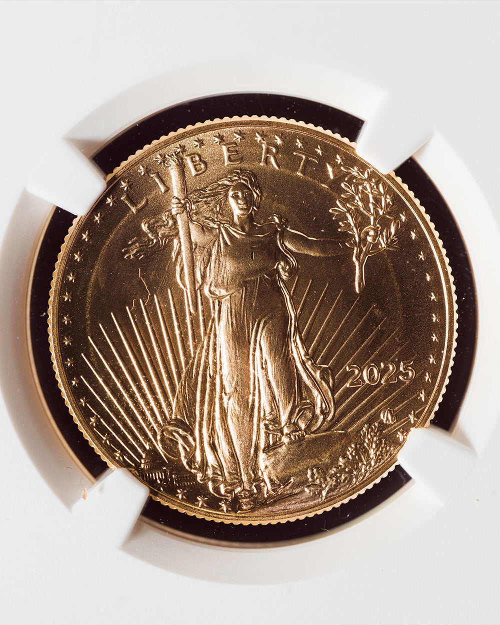 2025 1/2 oz Gold Eagle | Early Releases NGC MS70