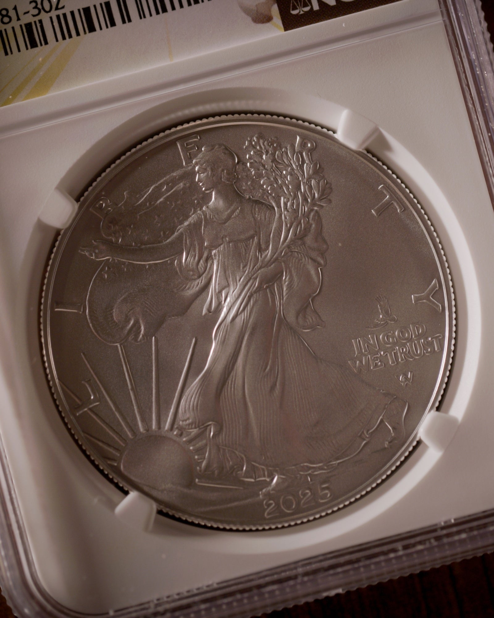 2025 Silver Eagle FDOI MS69 Reverse Struck Thru Error