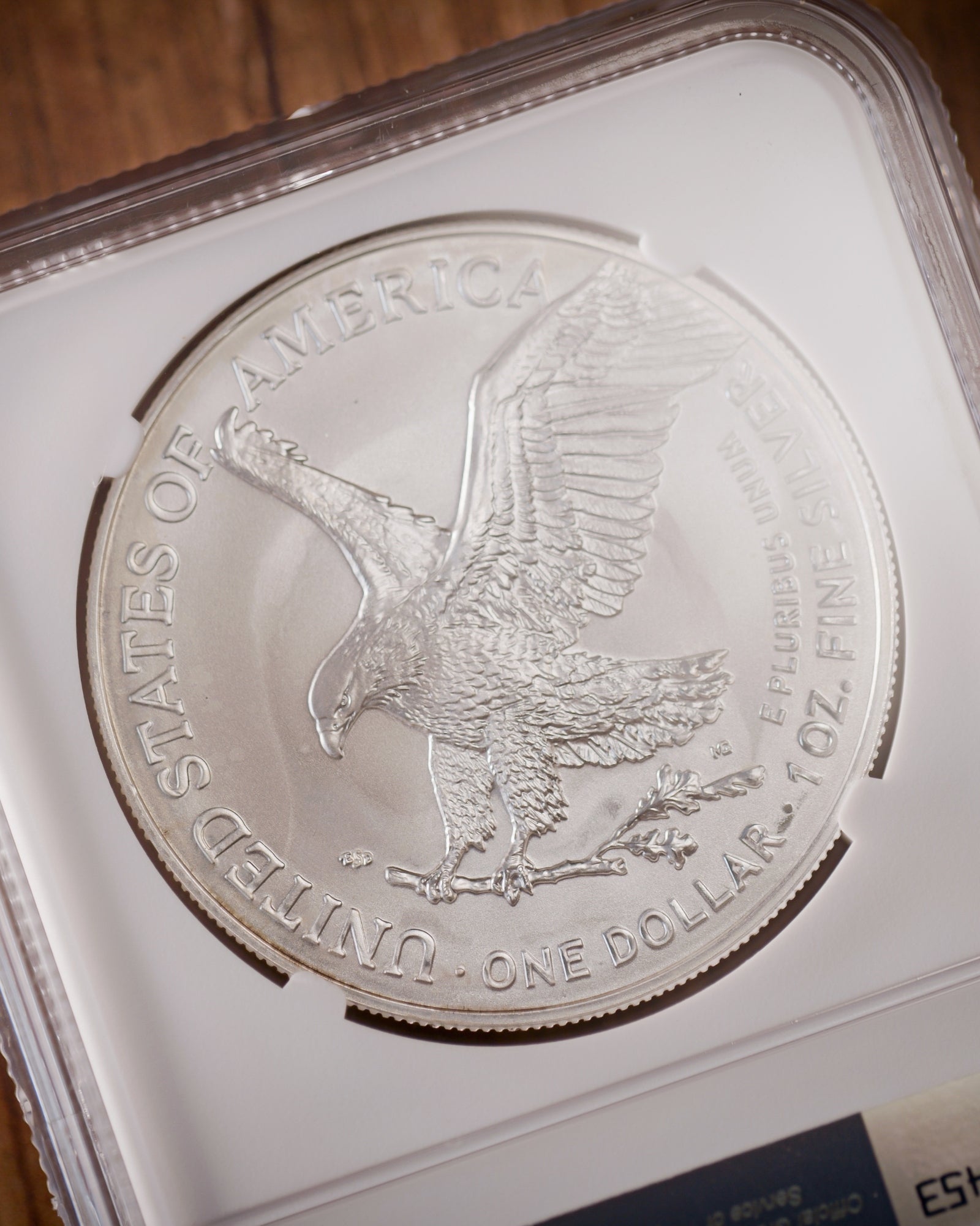 イーグル銀貨-type2 2020PCGS MS69 Silver Eagle Burnished 2020-W Silver Eagle MS69 NGC | Golden Eagle Coins