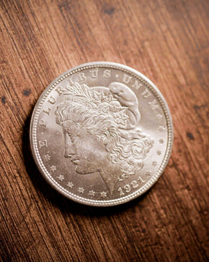 The Last Morgan & The First Peace Dollar Coin Set | 1921 & 1922 Brilliant Uncirculated
