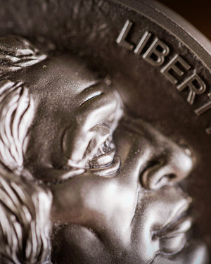 5 oz Coming to Life Buffalo Nickel | Sculptural Art by Michael Gaudioso