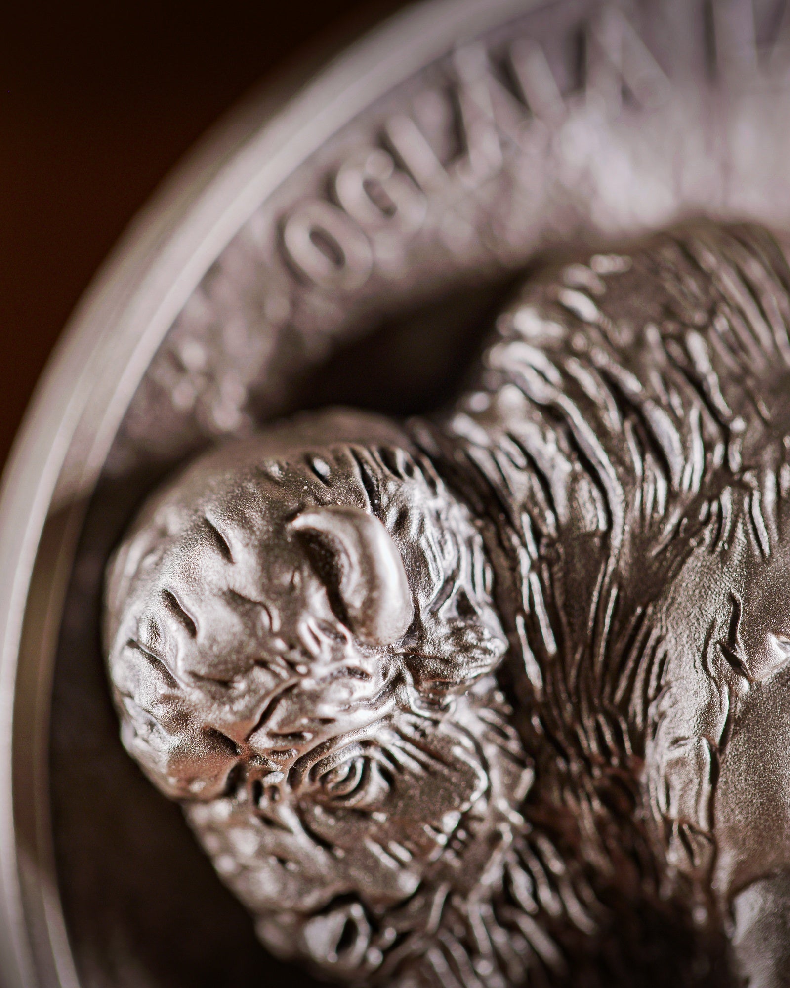 5 oz Coming to Life Buffalo Nickel | Sculptural Art by Michael Gaudioso