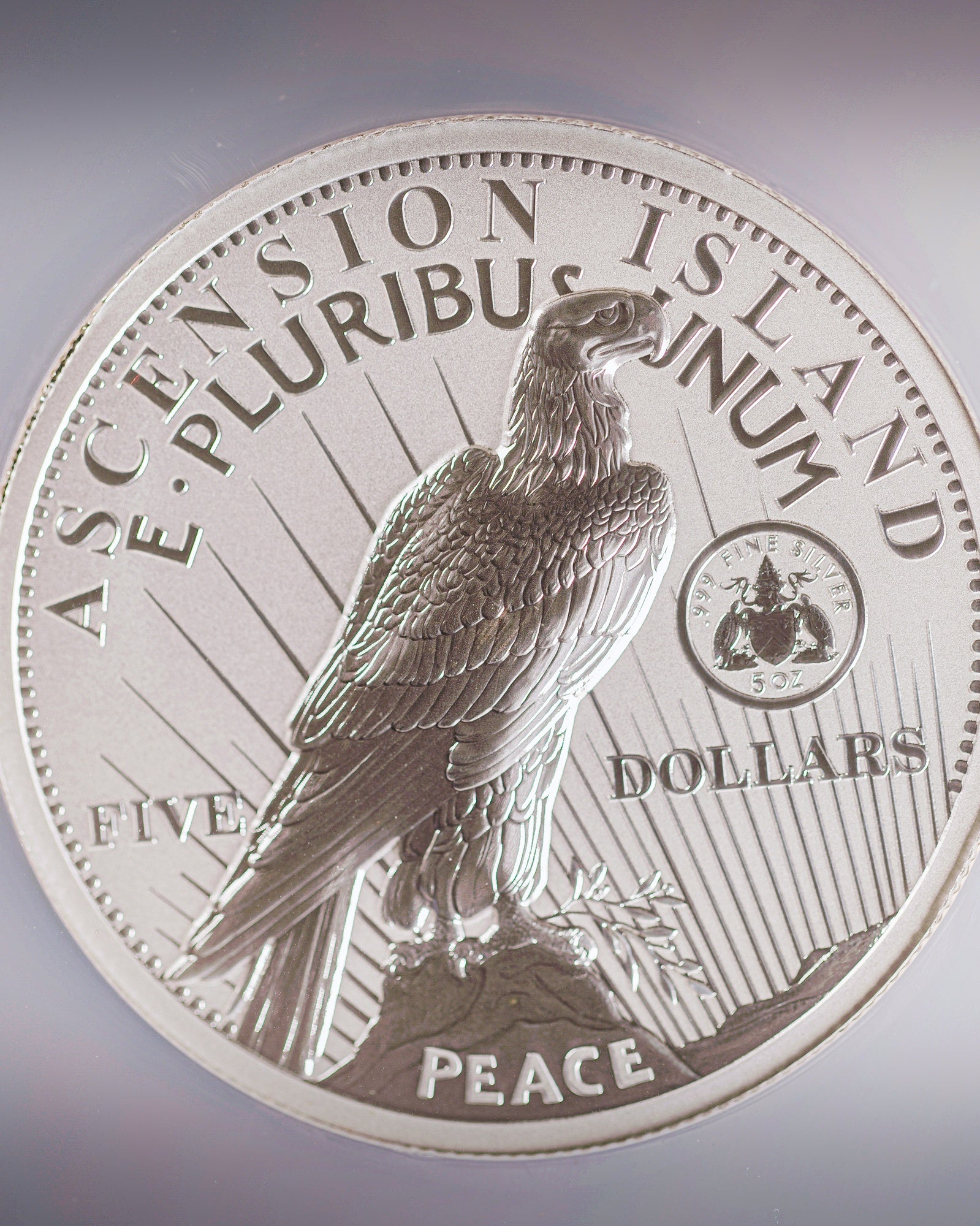 2026 5 oz Silver Morgan & Peace Collector Set | NGC Gem Reverse Proof Ultra High Relief Global Privy