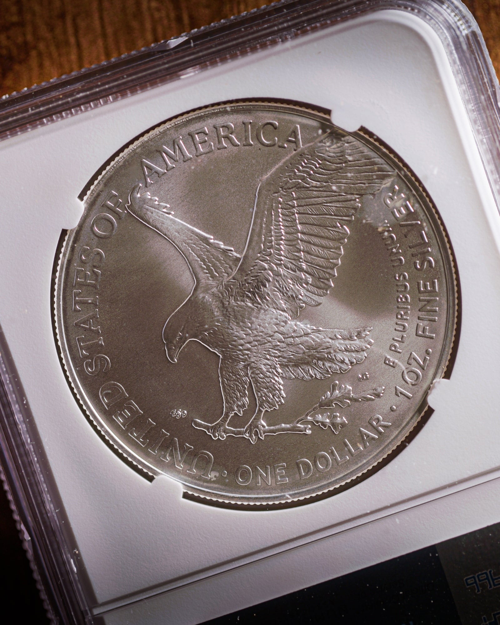 2024 P 1 oz Silver Eagle | Star Privy FR MS70 "Magnum Opus"