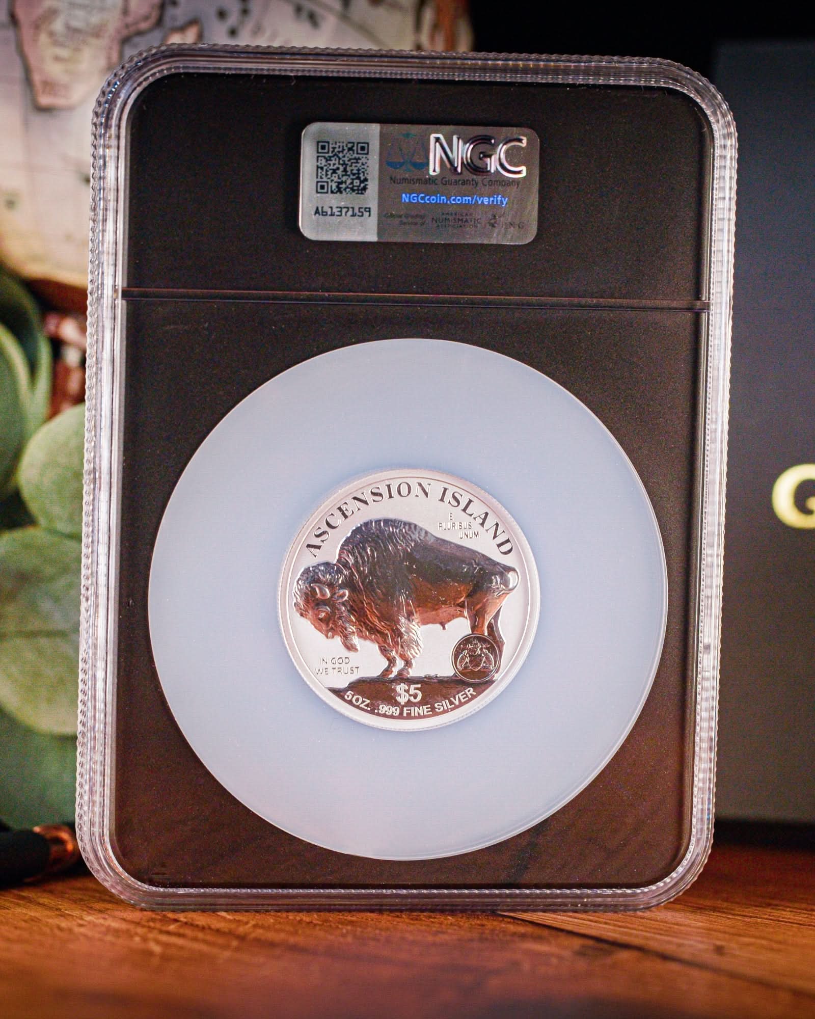 2026 $5 5oz Reverse Proof Buffalo Coin - Ultra-Rare 250th Anniversary Edition | Global Privy Reverse PF70 | Anna Cabral Autographed