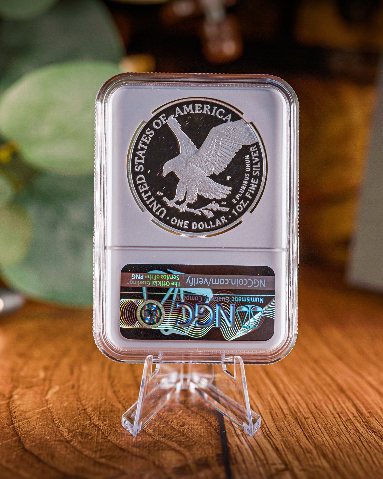 2025 Marine Corps Proof Silver Eagle PF70