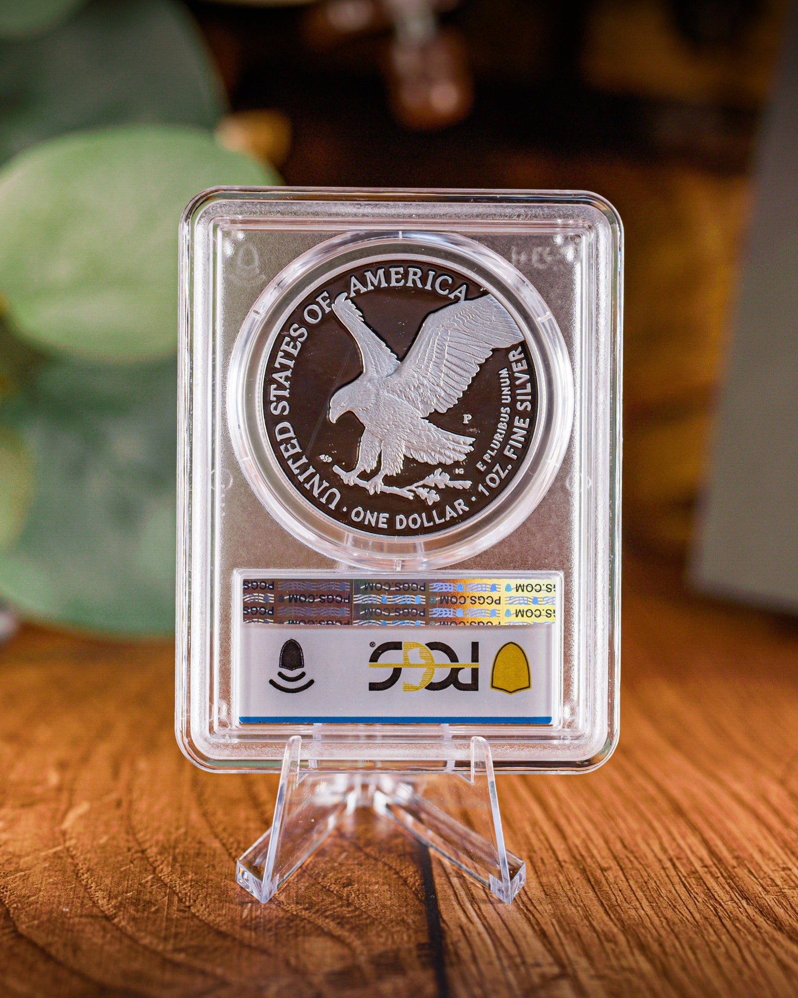 2025 P Marine Privy 1 oz Silver Eagle Coin | PCGS First Day of Issue P
