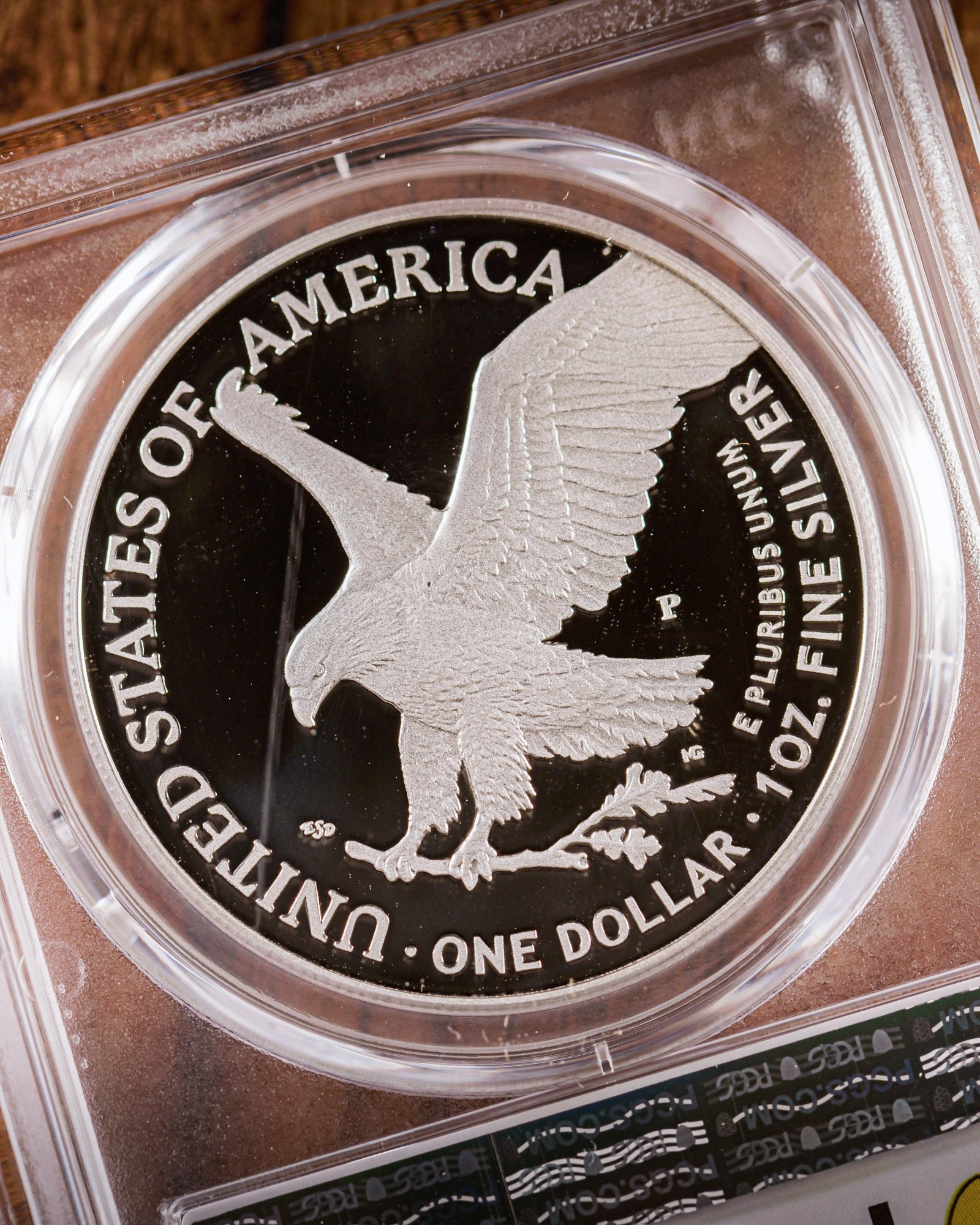 2025 P Marine Privy 1 oz Silver Eagle Coin | PCGS First Day of Issue P