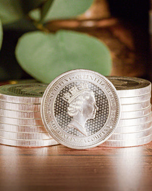 1.25 oz Silver Rose Crown Guinea | Raw | Random Date