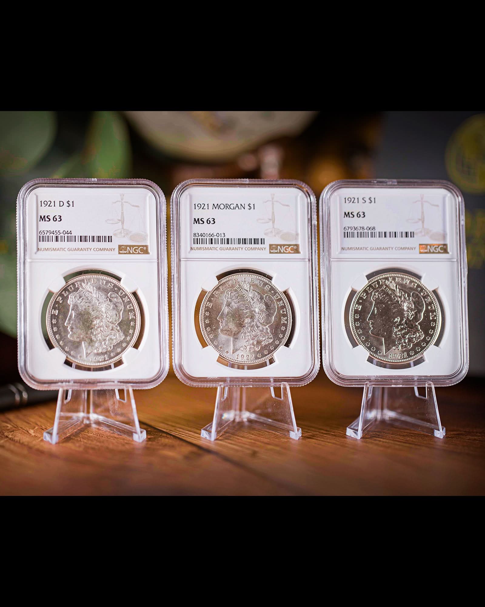 1921 3PC Morgan Dollar Collection | P, D, S NGC MS63
