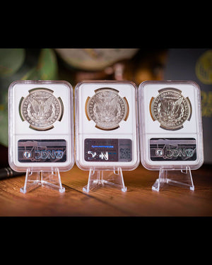 1921 3PC Morgan Dollar Collection | P, D, S NGC MS63